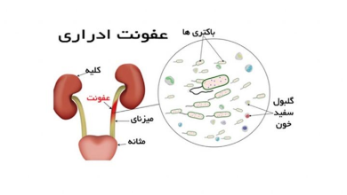 مقاومت ضد میکروبی و ژنوتیپ باکتری های جدا شده از عفونت ادراری