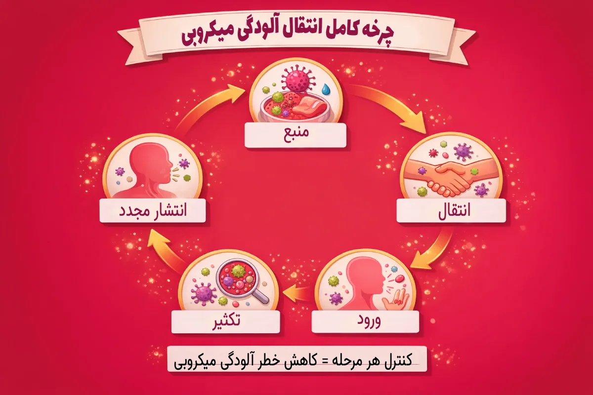 چرخه کامل انتقال آلودگی میکروبی