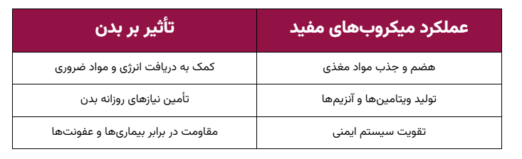نکات مهم در مورد میکروب های مفید